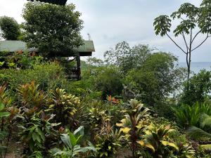 a garden with plants and trees and a building at VistaDrake Bungalow in Drake