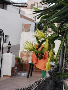 Fotografia z galérie ubytovania Vivienda rural en Cabo de Gata v destinácii El Pozo de los Frailes