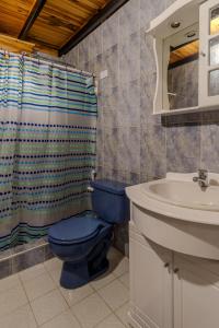 een badkamer met een blauw toilet en een wastafel bij Casa familiar en la colonia Tovar in El Tigre