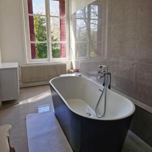 a bath tub in a bathroom with a window at Château des Aulnes 