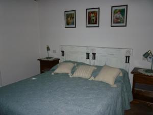 1 dormitorio con 1 cama azul y 2 almohadas en B&B La Villa del Vecchio Platano, en Vigonovo