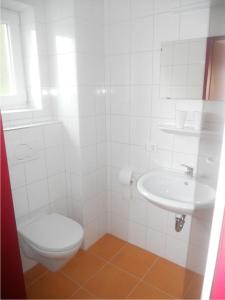 La salle de bains blanche est pourvue de toilettes et d'un lavabo. dans l'établissement Haus Annemarie, à Wagrain