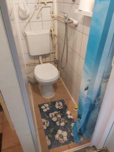 a small bathroom with a toilet and a shower at Life water small house in Budapest