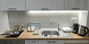 - une cuisine avec un évier et un comptoir dans l'établissement Alfa- Central Luxury Condo, à Kateríni
