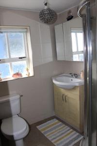 a bathroom with a toilet and a sink and a window at The Beach House in Newry