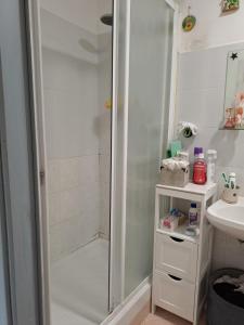 La salle de bains est pourvue d'une douche et d'un lavabo. dans l'établissement Casa Susy, à Rome