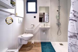 La salle de bains est pourvue de toilettes et d'un lavabo. dans l'établissement Tiny House Saint Cyr sur Menthon, à Saint-Cyr-sur-Menthon