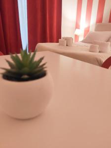 a plant sitting on a table in a room with two beds at Palermo Central B&B in Palermo