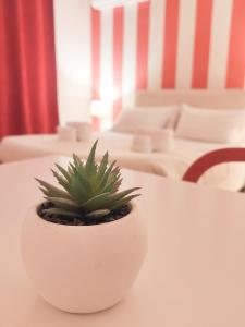 a plant in a white pot sitting on a table at Palermo Central B&B in Palermo