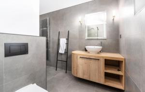 ein Bad mit einem Waschbecken und einem Spiegel in der Unterkunft Ferienhaus in Nova Vas mit Terrasse, Garten und Grill in Brtonigla