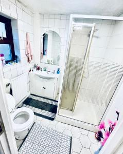 a bathroom with a shower and a toilet and a sink at Cozy single room in city center in Newry