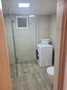 Un baño con lavadora y un inodoro. en Gabi's Home #3, en Sighişoara 5 fotos más