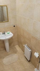 La salle de bains est pourvue d'un lavabo et d'un miroir. dans l'établissement Apartamento Cattleya, à Almazán