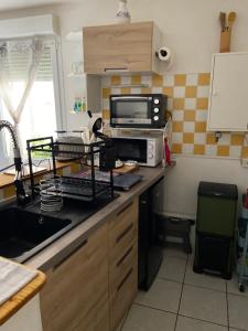 - une cuisine avec un comptoir et un four micro-ondes dans l'établissement Meuble maison vigneronne, à Saint-André-de-Sangonis