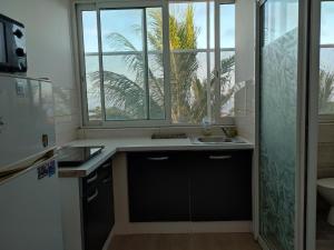 A kitchen or kitchenette at GITE PEI LA VANILLE "Studio Duplex TI Kaz"