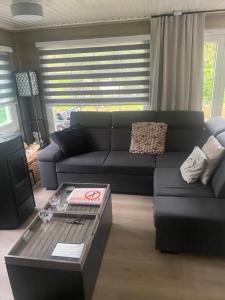 Et opholdsområde på Nieuw vebouwd Vakantie Boshuisje Meibloempje