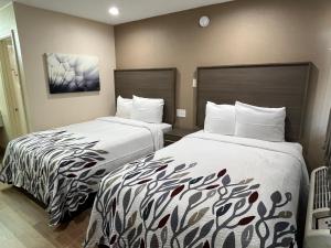 Dos camas en una habitación de hotel con dos en Red Roof Inn Haltom City, en Haltom City