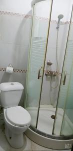 een badkamer met een toilet en een douche bij Areej tower in Islamabad