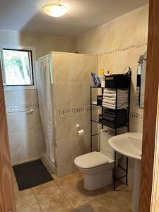 La salle de bains est pourvue d'une douche, de toilettes et d'un lavabo. dans l'établissement Casa Luna, à La Drova