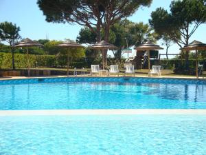 a large swimming pool with chairs and umbrellas at Bicos 303 - Shared Pool - 6 Guests - Albufeira in Albufeira