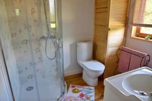 a bathroom with a toilet and a shower and a sink at Dom wakacyjny w kratkę & spa in Białogóra