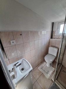 a bathroom with a toilet and a sink at Chata u poľovníka 