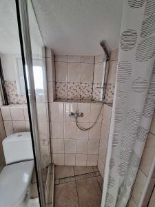 a small bathroom with a shower with a toilet at Chata u poľovníka 