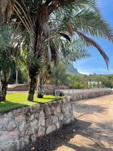 uma palmeira ao lado de uma parede de pedra em SÍTIO CAPÃO DO MEL em Iraquara