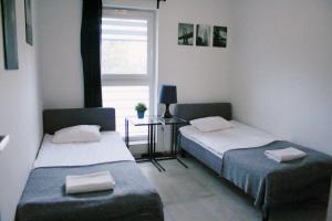 - 2 lits dans une chambre avec une table et une fenêtre dans l'établissement Apartament Nero, à Toruń