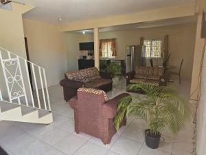 a living room with couches and a plant at The Kozy Kotch in Montego Bay