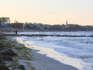 een strand met een vogel die over de oceaan vliegt bij Oase Friedensthal in Friedenstal