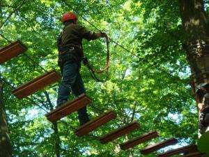 een man op een tokkelbaan in de bomen bij Oase Friedensthal in Friedenstal