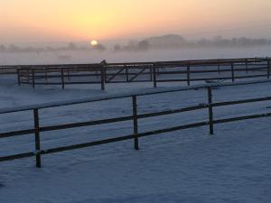 a fence covered in snow with the sunset in the background at Oase Friedensthal in Friedenstal