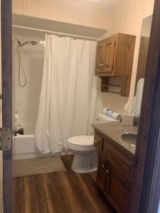 a bathroom with a white shower curtain and a toilet at Whiteshomesplus in Joplin