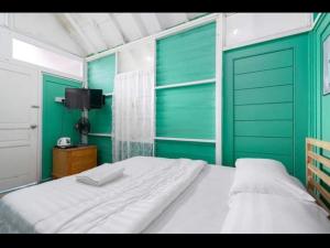 丹那拉打的住宿－Hillside cottage chalet studio，一间带绿色墙壁的卧室、一张床和电视