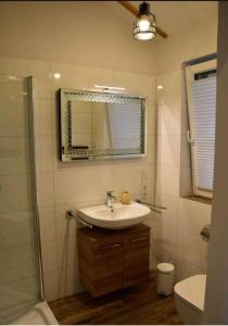 a bathroom with a sink and a mirror and a toilet at G7 Haus mit Blick ins Landschaftsschutzgebiet in Großwürden +14 photos