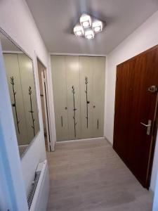 a room with a hallway with a door and a wall with trees at Appartement 1 pièce Strasbourg in Schiltigheim