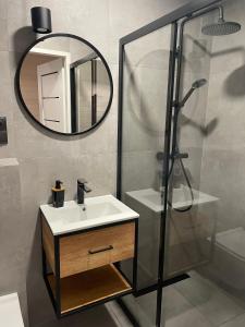 a bathroom with a sink and a mirror at Na Fali in Chłopy