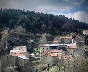 Příroda nedaleko bed and breakfast