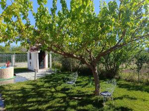 two chairs under a tree in a yard at H BIΛΑ ΤΩΝ ΟΝΕΙΡΩΝ ΣΟΥ-999 THE VILLA OF YOURS Dreams 999 in Drama