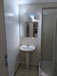 een badkamer met een wastafel, een spiegel en een douche bij Studio 26m 2 pas Marina du Marin climatisé + parking in Le Marin