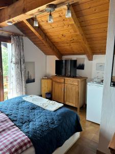 1 dormitorio con 1 cama azul y cocina en ROOM BELVEDERE, en Miazzina