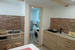 a kitchen with a sink and a washing machine at Hedgehog's 33 in Plitvica selo