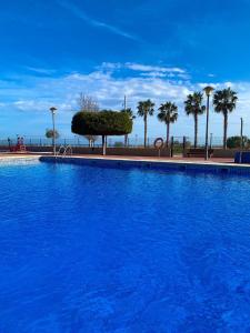 a large blue swimming pool with palm trees in the background at Apartamento La Sal Cubelles in Cubelles