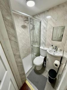 W łazience znajduje się prysznic, toaleta i umywalka. w obiekcie Stratford Guesthouse w Londynie