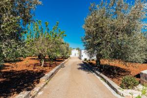 a dirt road with trees on either side of it at Villa Mati in Macchia di Monte