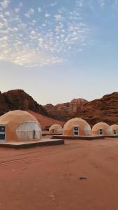 Une rangée de dômes dans le désert avec des montagnes dans l'établissement Wadi Rum palace, à Wadi Rum