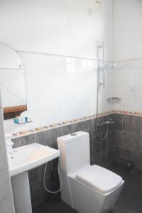 Un baño con inodoro, lavabo y ducha. en Birds Peak Hotel Nuwaraeliya, en Nuwara Eliya 50 fotos más