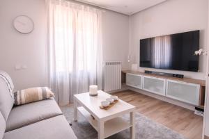 ein Wohnzimmer mit Sofa und Fernseher in der Unterkunft Apartamentos Casalarreina in Casalarreina