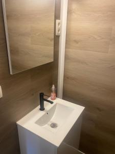 ein Badezimmer mit einem weißen Waschbecken und einem Spiegel in der Unterkunft Vakantie Boshuisje Meibloempje in Lanaken